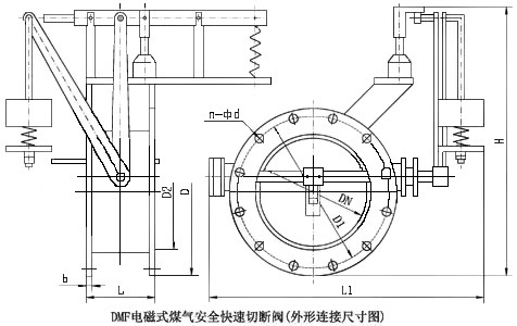 2dfb2913e5aadbcce88102f5e831fe2e_dmf-2.jpg